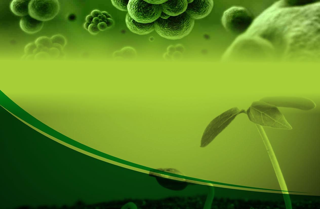 Fotossintese Biológic lança novo conceito em controle biológico de pragas e doenças