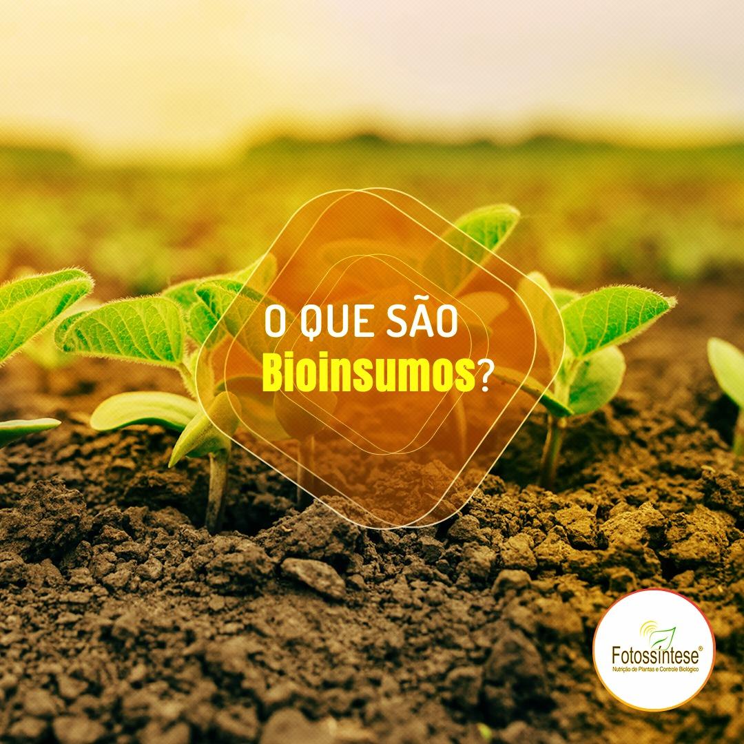 O que são Bioinsumos  - Uma nova política para os bioinsumos